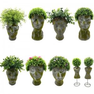 Cây nhân tạo Head Face Planter Văn phòng tại nhà Cây xương rồng Cây mọng nước